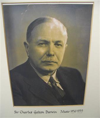 ;